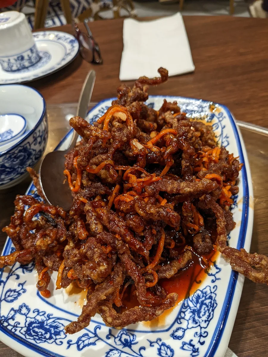 dry fried shredded beef in peking sauce 干烧牛肉丝